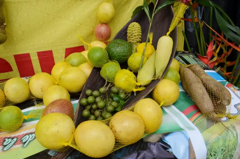 Frutas y verduras de Tame.